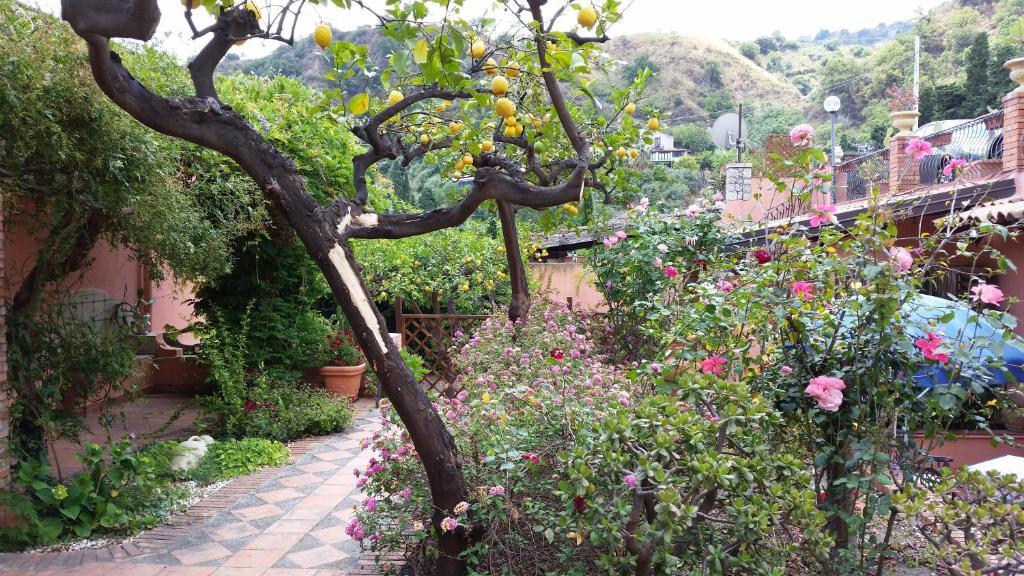 Villa Carmelas تاورمينا المظهر الخارجي الصورة